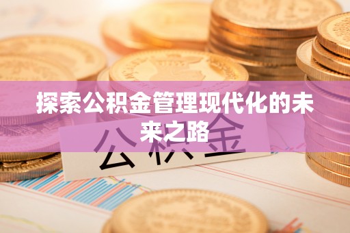 新埤探索公积金管理现代化的未来之路