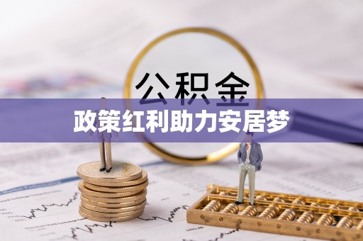 新埤政策红利助力安居梦
