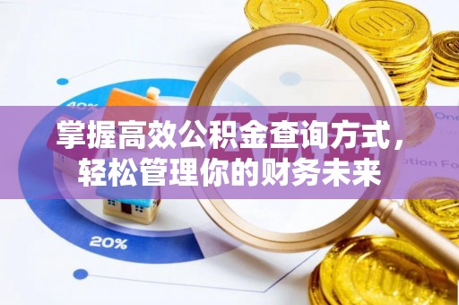 新埤掌握高效公积金查询方式，轻松管理你的财务未来