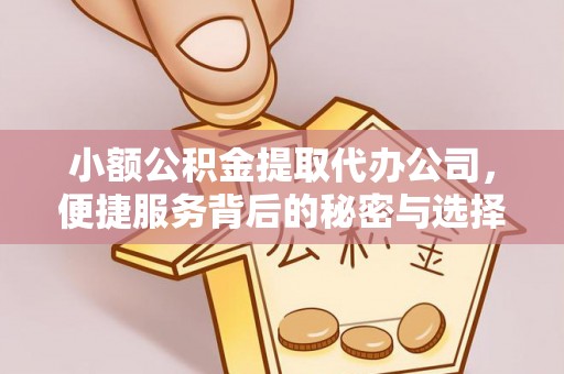 新埤小额公积金提取代办公司，便捷服务背后的秘密与选择指南