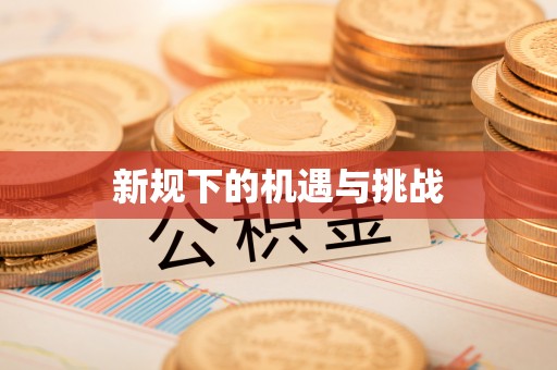 新埤新规下的机遇与挑战