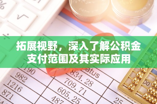 新埤拓展视野，深入了解公积金支付范围及其实际应用
