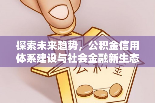 新埤探索未来趋势，公积金信用体系建设与社会金融新生态