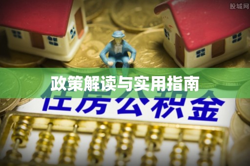 新埤政策解读与实用指南