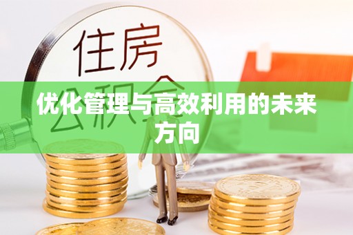 新埤优化管理与高效利用的未来方向