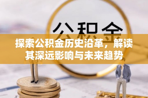 新埤探索公积金历史沿革，解读其深远影响与未来趋势