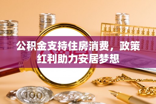 新埤公积金支持住房消费，政策红利助力安居梦想