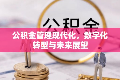 新埤公积金管理现代化，数字化转型与未来展望