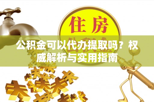 新埤公积金可以代办提取吗？权威解析与实用指南