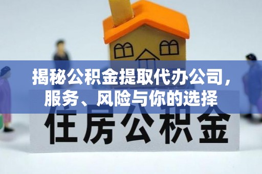 新埤揭秘公积金提取代办公司，服务、风险与你的选择