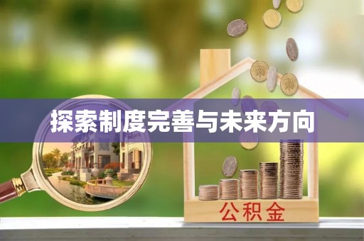 新埤探索制度完善与未来方向