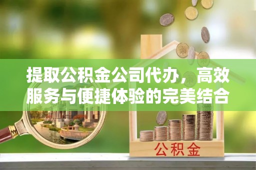 新埤提取公积金公司代办，高效服务与便捷体验的完美结合