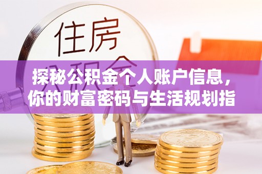 新埤探秘公积金个人账户信息，你的财富密码与生活规划指南
