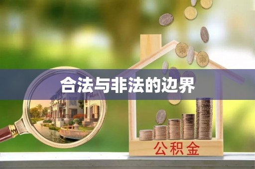 新埤合法与非法的边界