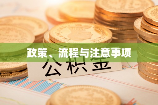 新埤政策、流程与注意事项