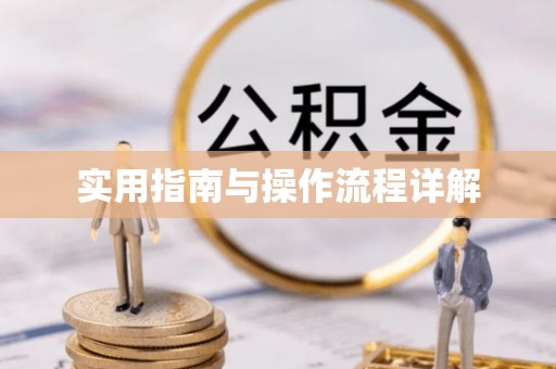 新埤实用指南与操作流程详解