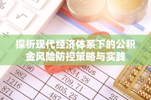 新埤探析现代经济体系下的公积金风险防控策略与实践