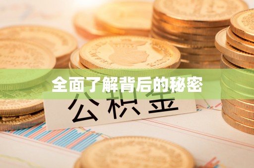 新埤全面了解背后的秘密