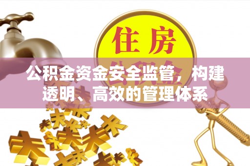 新埤公积金资金安全监管，构建透明、高效的管理体系