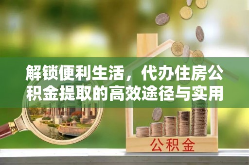 新埤解锁便利生活，代办住房公积金提取的高效途径与实用技巧