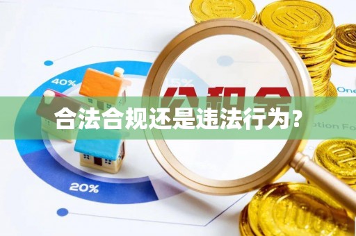 新埤合法合规还是违法行为？