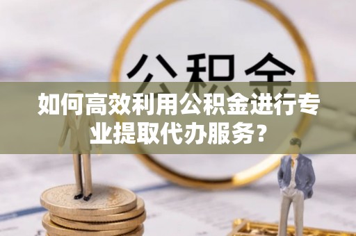 新埤如何高效利用公积金进行专业提取代办服务？