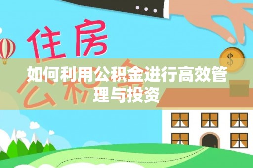 新埤如何利用公积金进行高效管理与投资