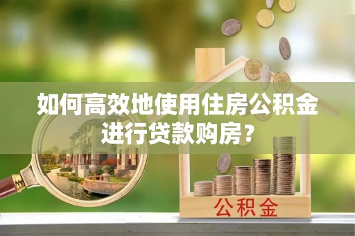 新埤如何高效地使用住房公积金进行贷款购房？