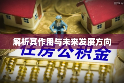 新埤解析其作用与未来发展方向