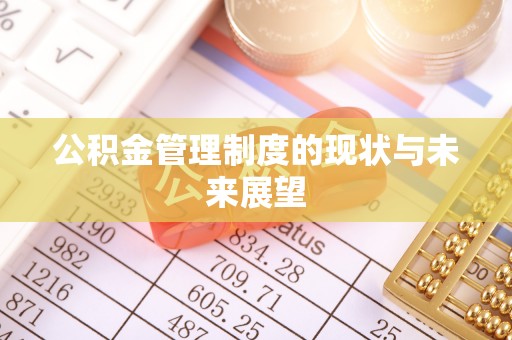 新埤公积金管理制度的现状与未来展望
