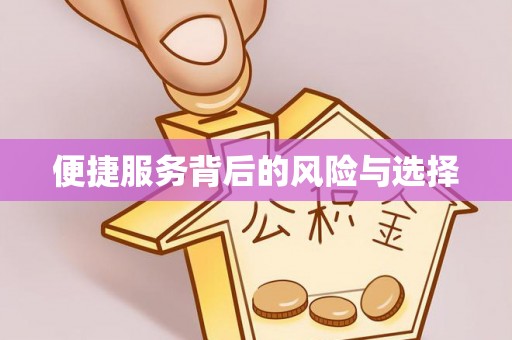 新埤便捷服务背后的风险与选择