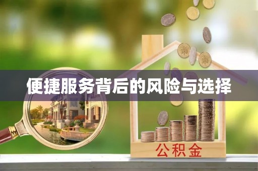 新埤便捷服务背后的风险与选择