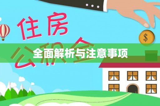 新埤全面解析与注意事项