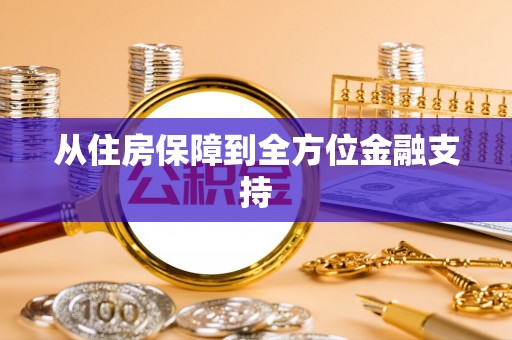 新埤从住房保障到全方位金融支持