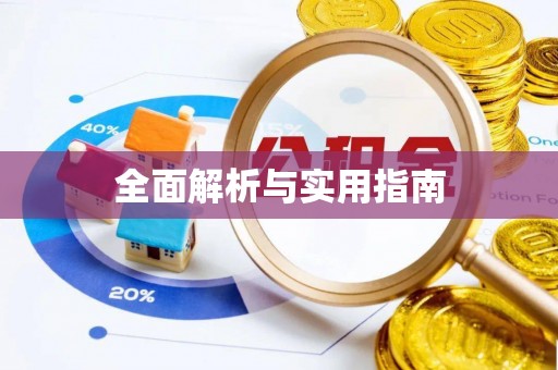 新埤全面解析与实用指南