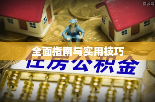 新埤全面指南与实用技巧