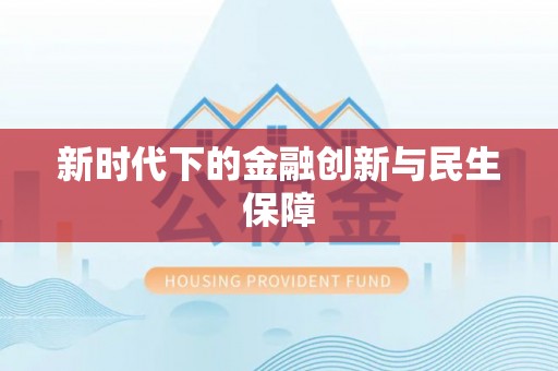 新埤新时代下的金融创新与民生保障