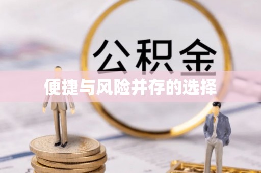新埤便捷与风险并存的选择