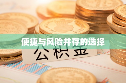 新埤便捷与风险并存的选择
