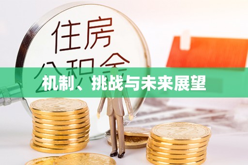 新埤机制、挑战与未来展望